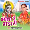 About Bhola Hai Bhandari Song